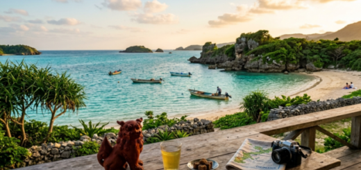 2026沖繩旅遊推薦！最新熱門玩法、必吃美食！海景、浮潛、石垣牛一次滿足！
