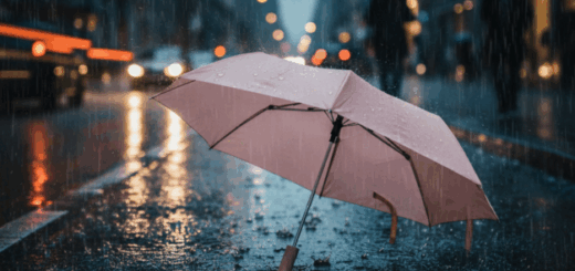 8款自動傘推薦「超美高質感、輕巧、耐用」最強自動摺疊雨傘！